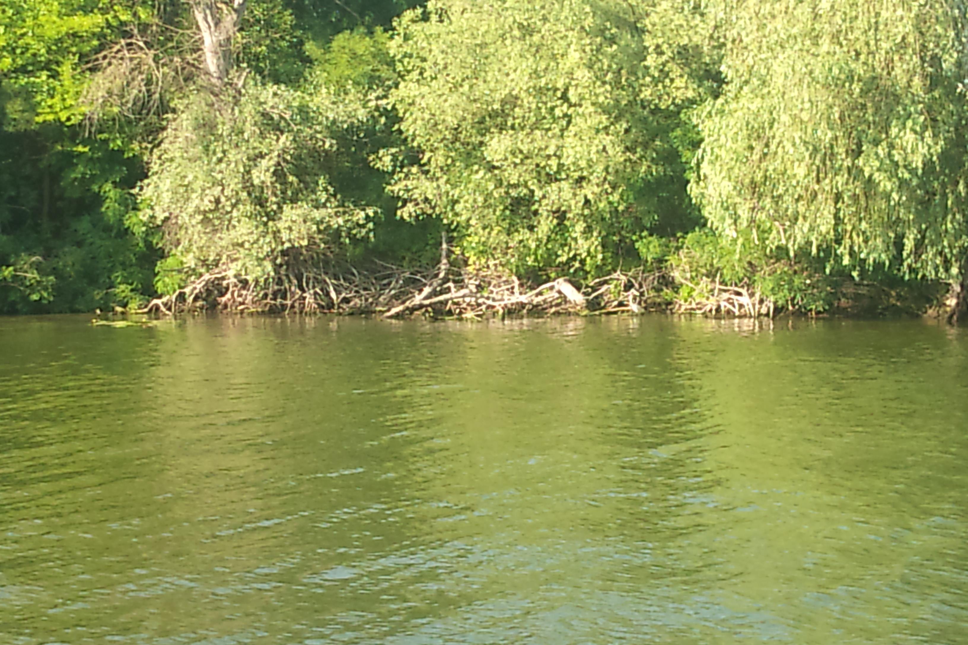 DELTA 2011  MILA 23 - DSC00129.JPG